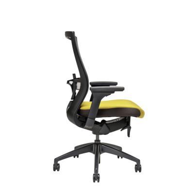 chair image with specific color