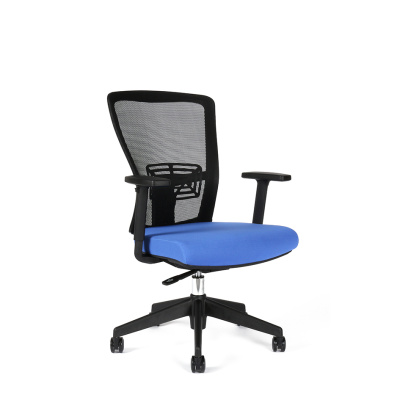 chair image with specific color