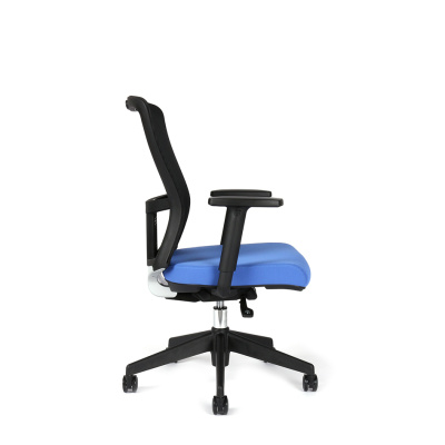 chair image with specific color