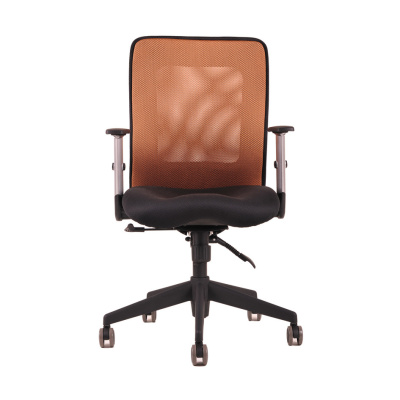 chair image with specific color