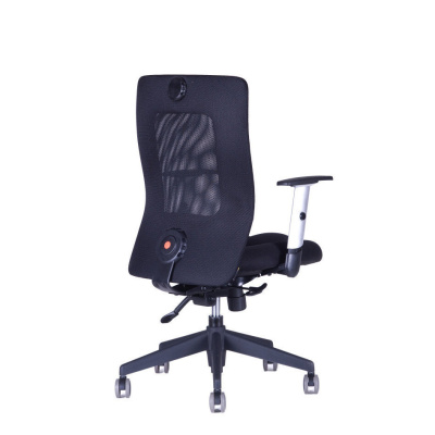 chair image with specific color