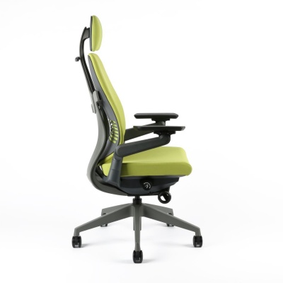 chair image with specific color