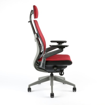 chair image with specific color