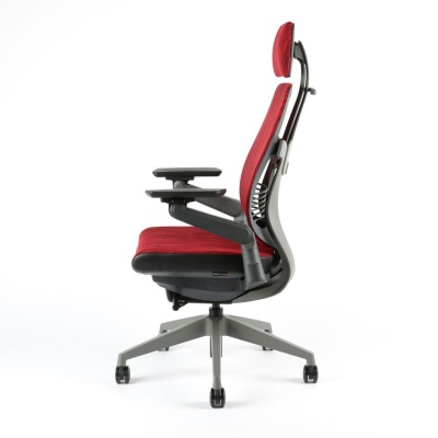 chair image with specific color