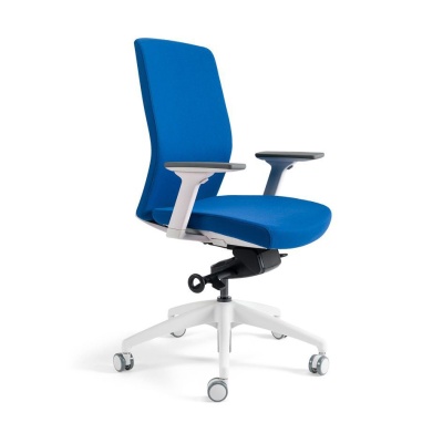 chair image with specific color